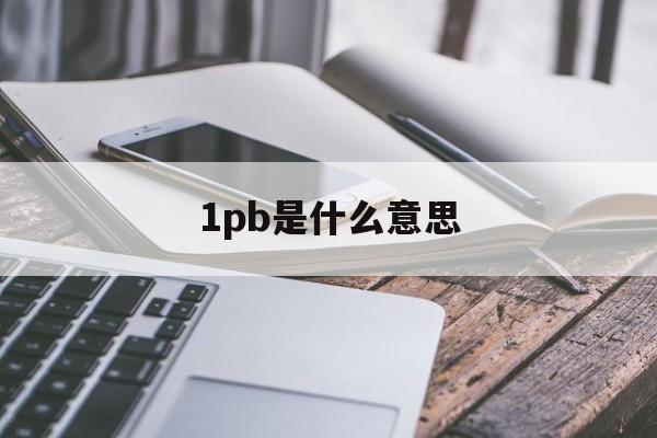 1pb是什么意思(股票1pb是什么意思)